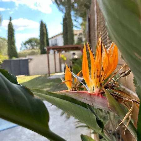 וילה 5* En Roussillon *